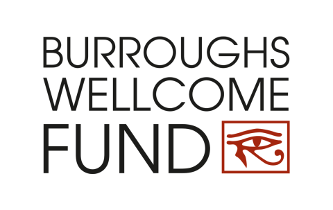 Burroughs Wellcome Fund